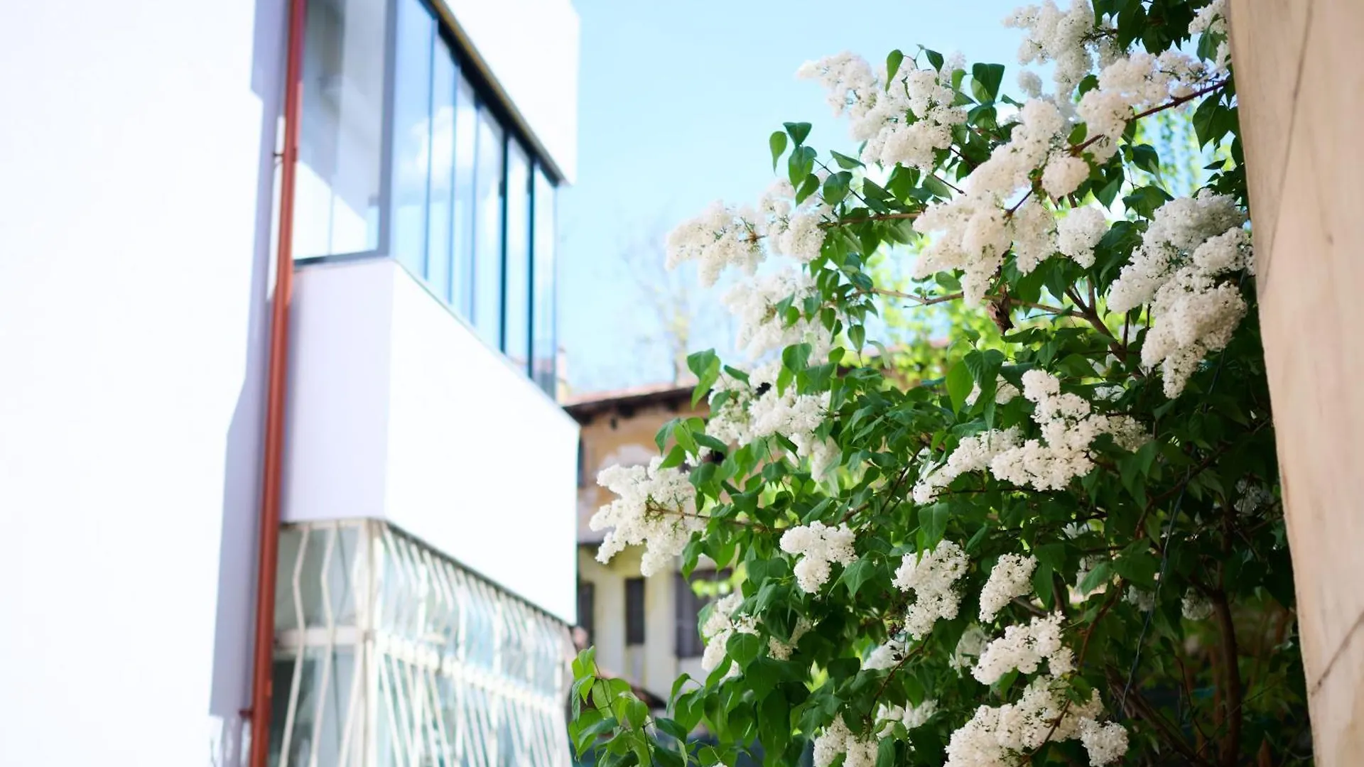 Central Old Town Oasis - Ap 10 Bucharest Apartment